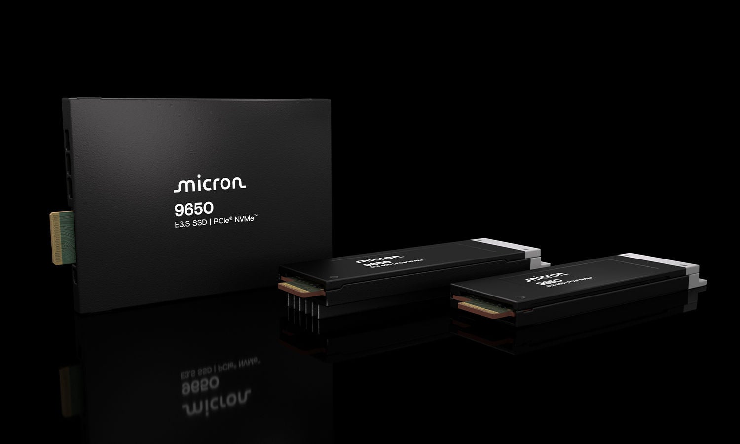 Micron 9650 NVMe™ SSD product family